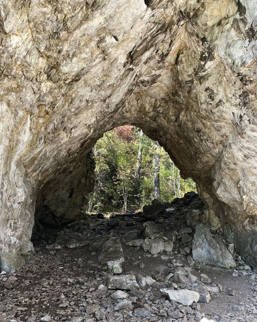 Тавдинские пещеры (Алтайский Край). Автор: balyava, фото 1