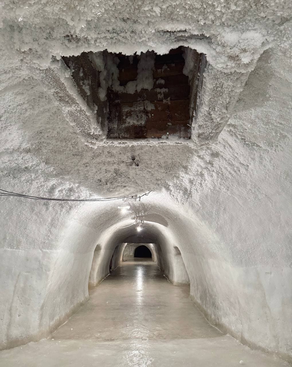 Новопортовский мерзлотник, село Новый Порт (Ямало Ненецкий Автономный Округ). Автор: @ted_ns, фото 3