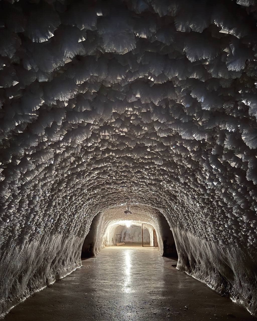 Новопортовский мерзлотник, село Новый Порт (Ямало Ненецкий Автономный Округ). Автор: @ted_ns, фото 2