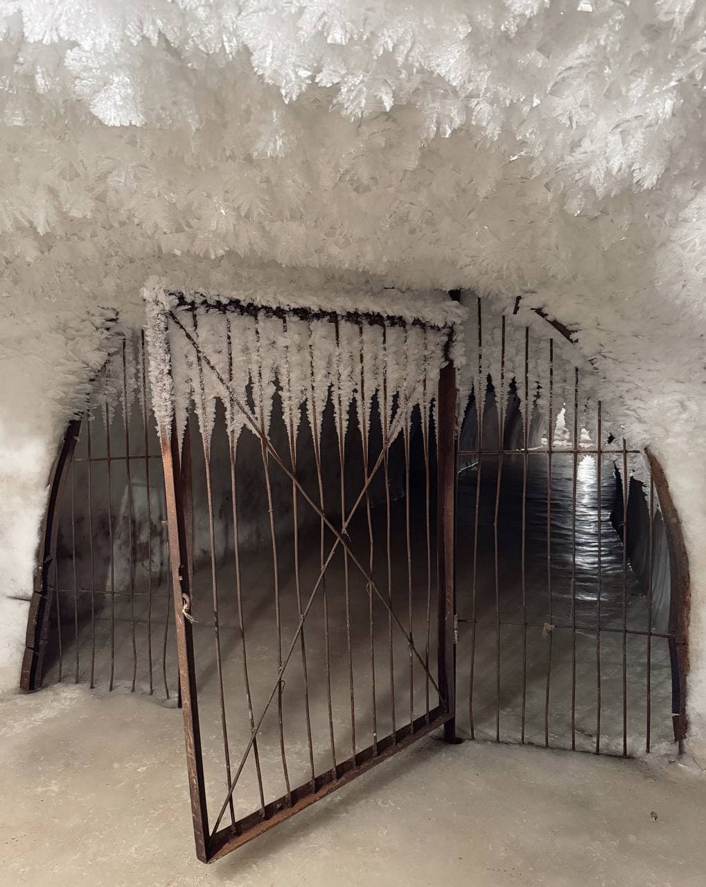 Новопортовский мерзлотник, село Новый Порт (Ямало Ненецкий Автономный Округ). Автор: @ted_ns, фото 1